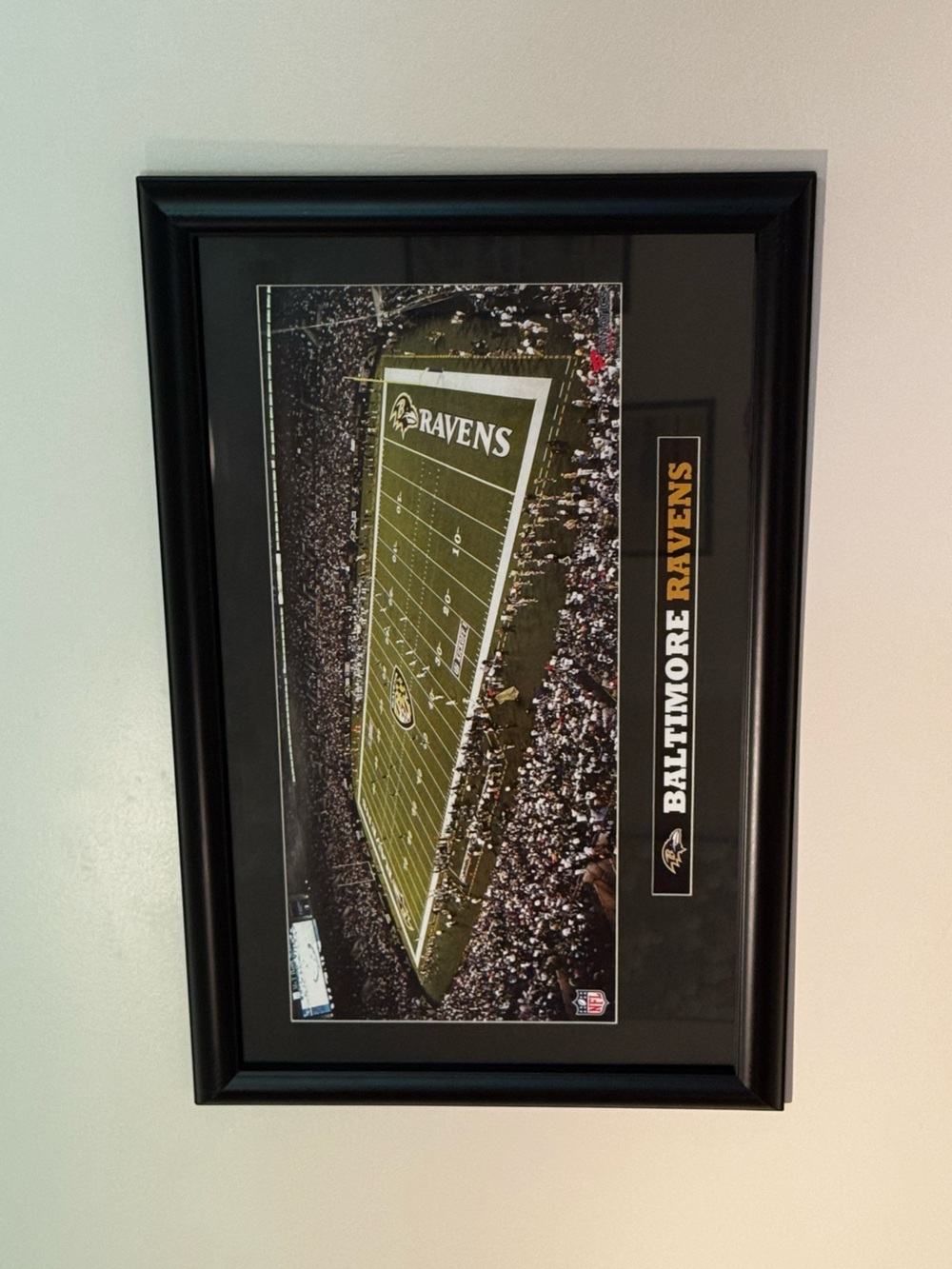 Baltimore Ravens Framed Stadium Panoramic Print - Black Frame